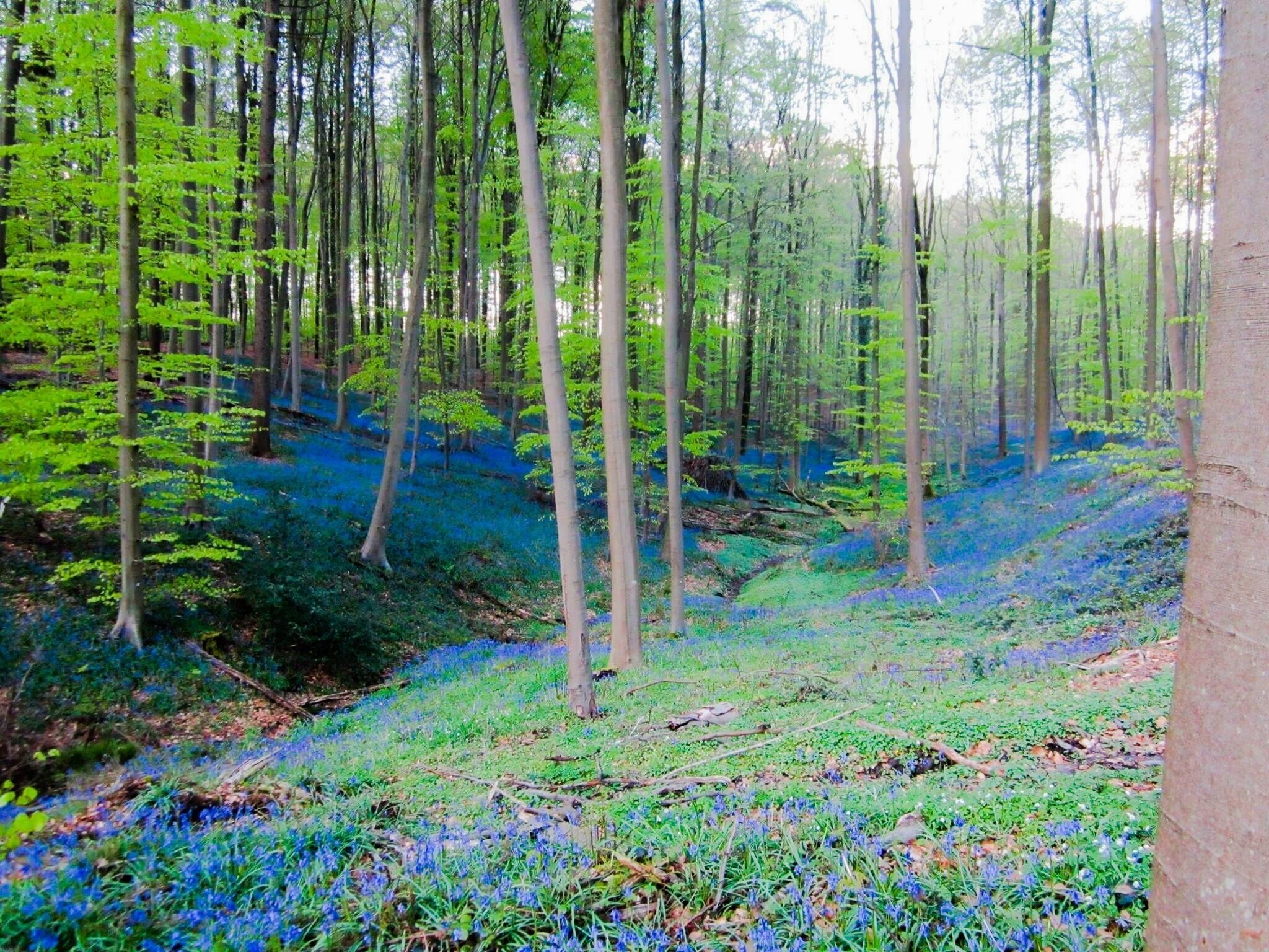 Belgium is one of the most beautiful countries!