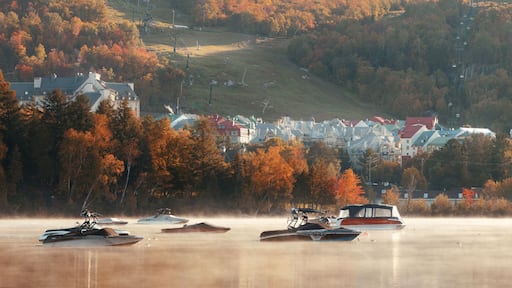 Morning foggy lake