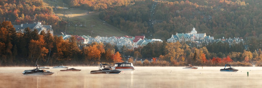 Morning foggy lake