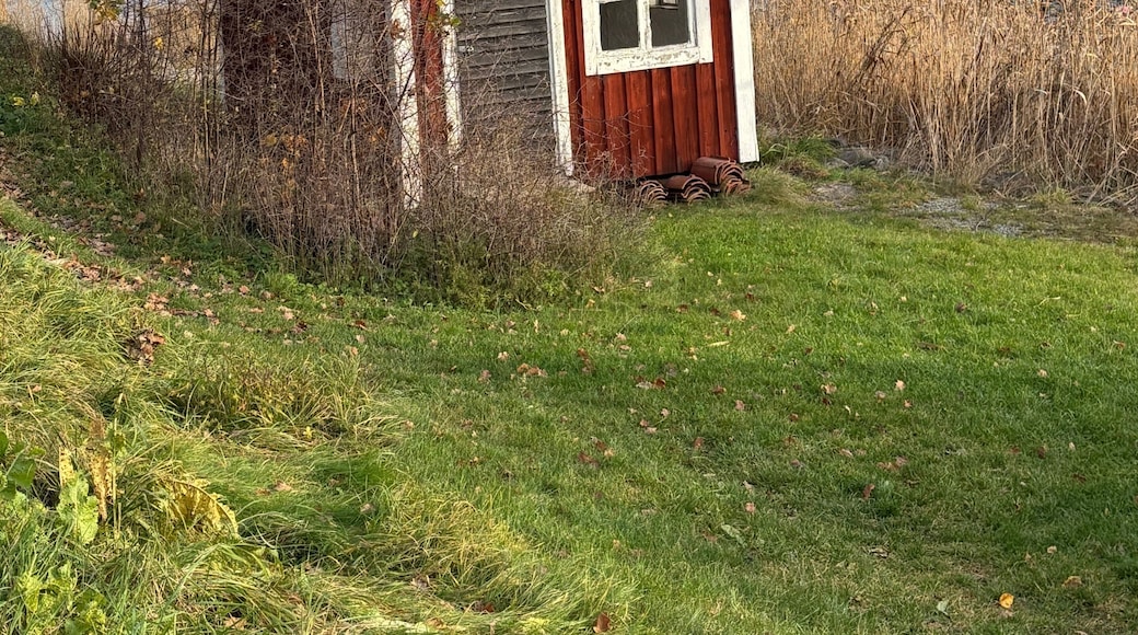 sweden, summer, saltsjö-boo,