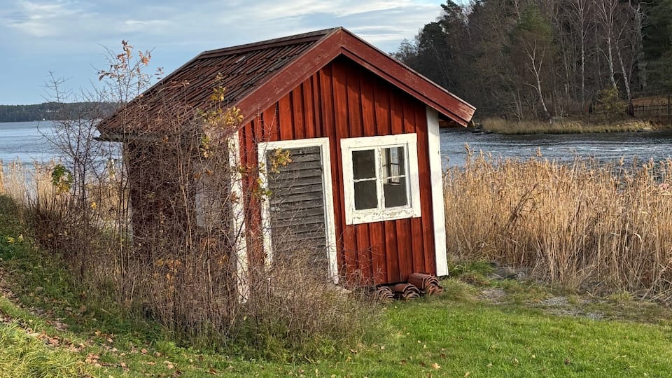 A small wooden cabin with a red roof and white trim, surrounded by grass and reeds, near a body of water with trees in the background.