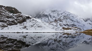 Water reflection. Alpine lake (Palasina) in a cloudy and foggy day in the autumn. Ayas valley, Aosta, Italy