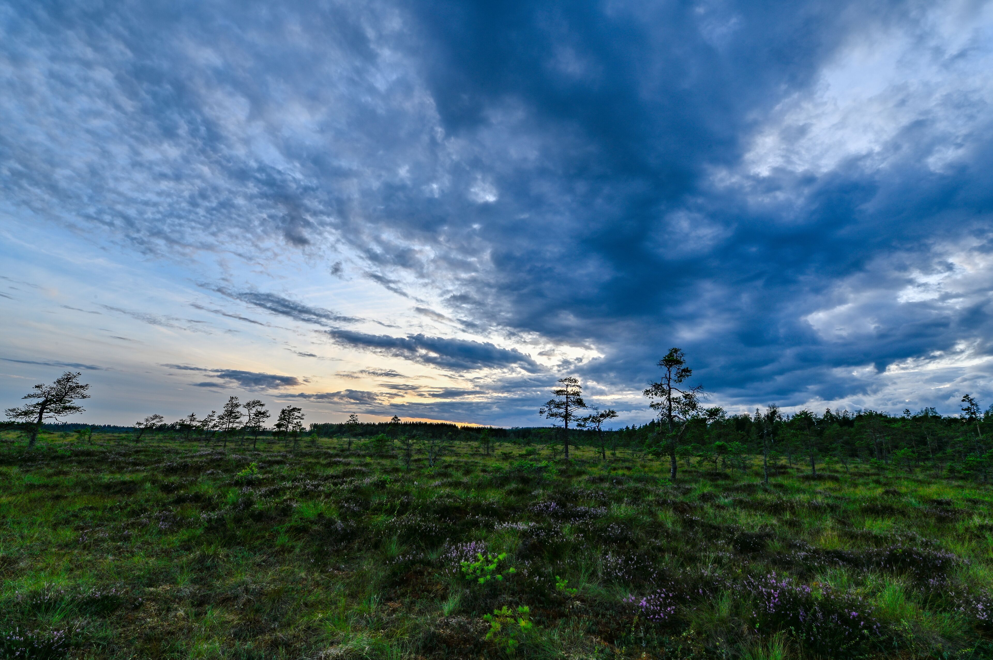 dusk over a big bog near Storfors Sweden