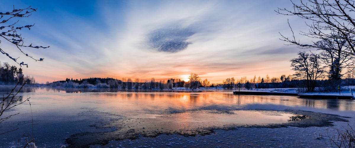 A frozen lake with bare trees and a sunset.