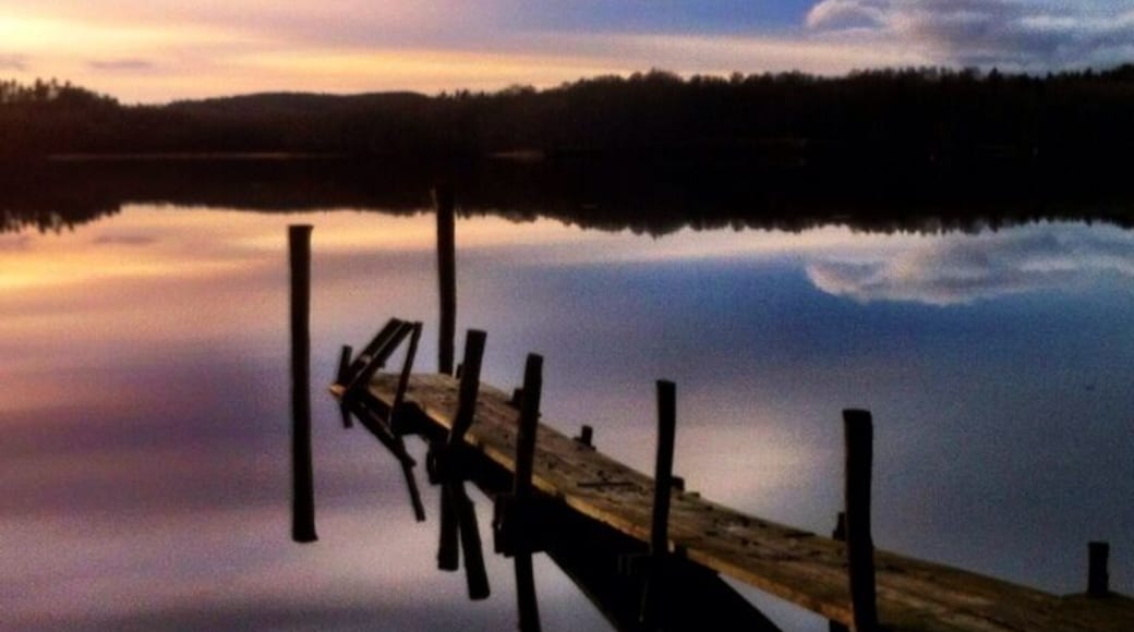 Found a sauna down by the lake near Nääs Castle.