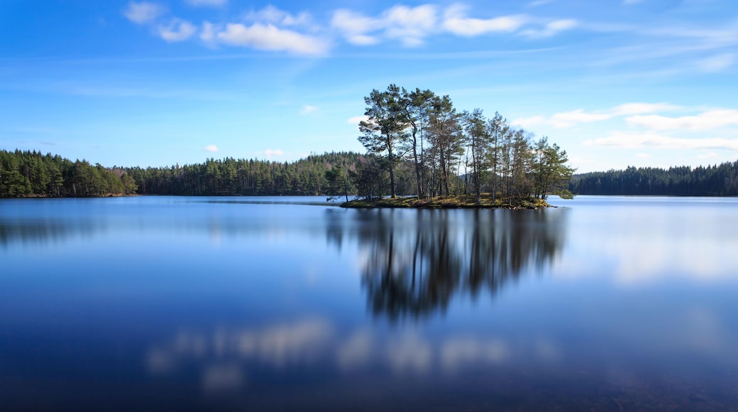 Beautiful fresh tranquil spring landscape view of clean lake with trees and clouds reflecting in water. Lake Torskabotten, Tollered, Sweden