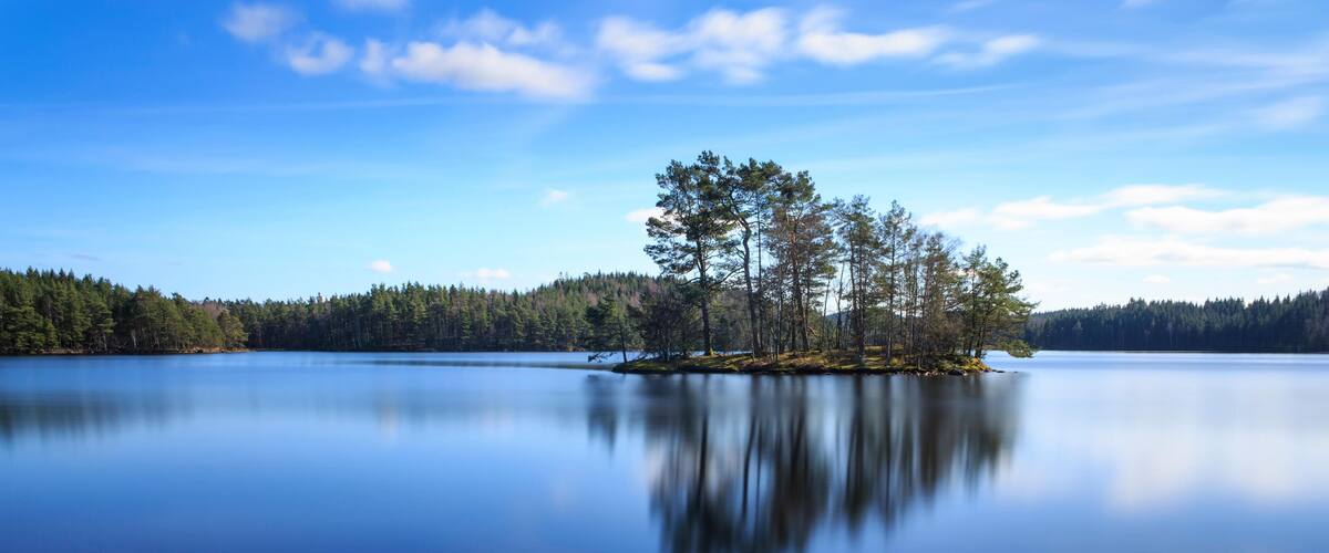 A calm lake with a small island of trees in the center, surrounded by dense forest.