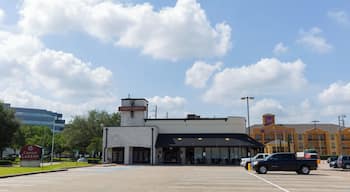 EyeEm Custom Shoots Q4 2018