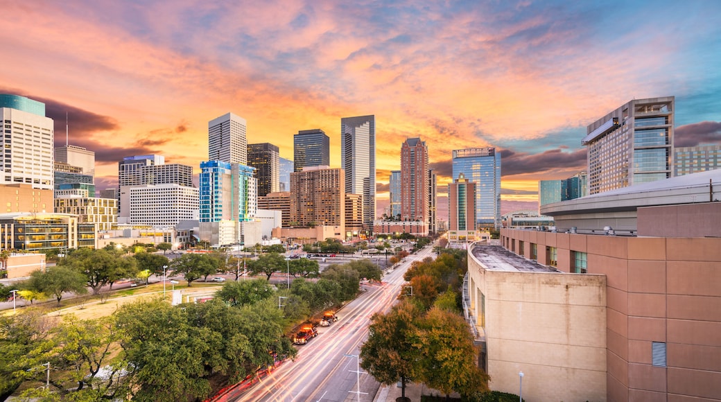 Houston, Texas, USA downtown park and skyline