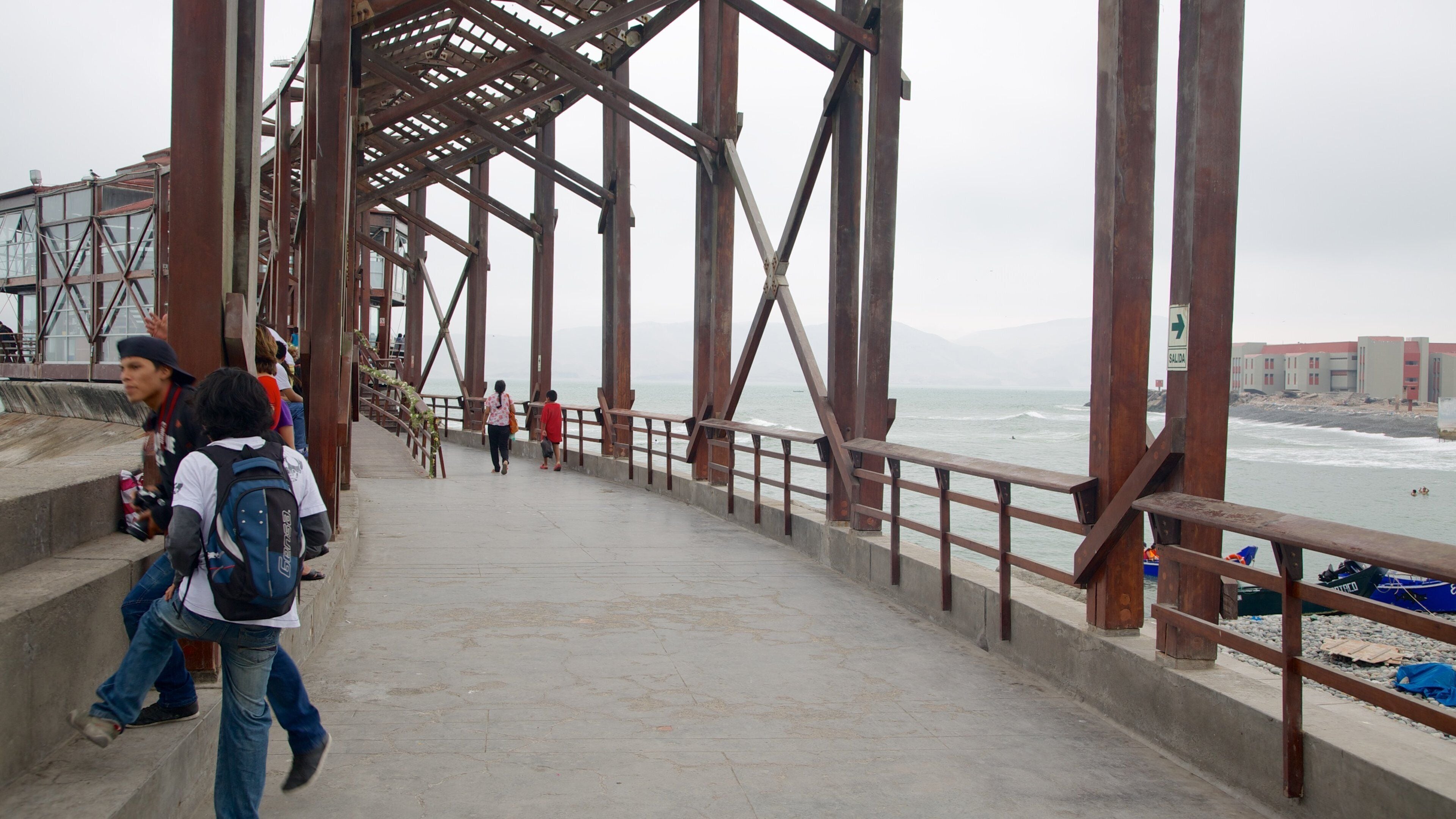 Punta Hermosa que incluye vista general a la costa y un puente colgante o una pasarela y también un pequeño grupo de personas