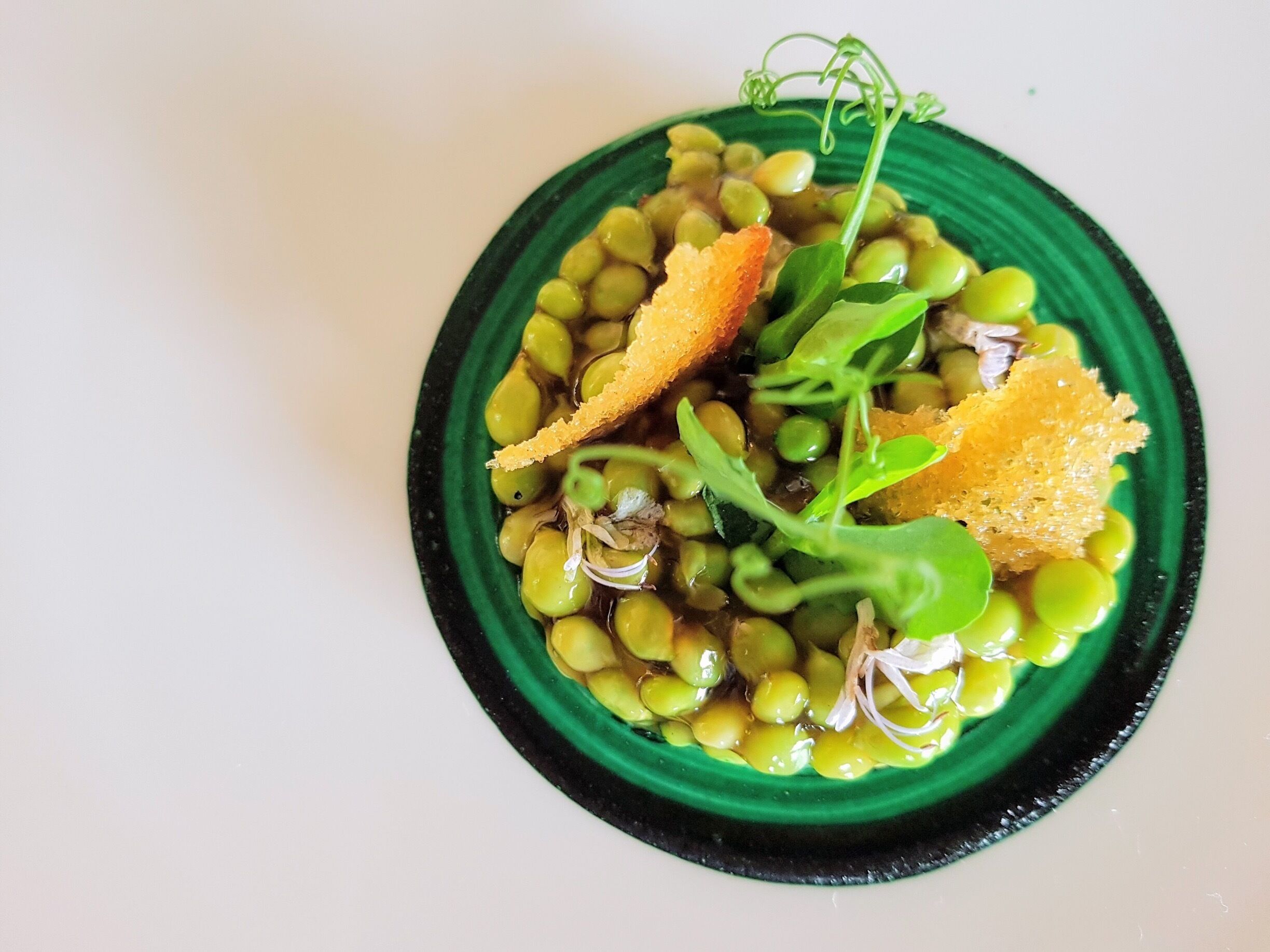 A dish with green beans, sprouts, and crispy bread pieces on a green plate.
