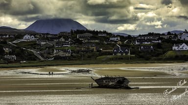 A coastal town with houses, a shipwreck, and a mountain in the background.