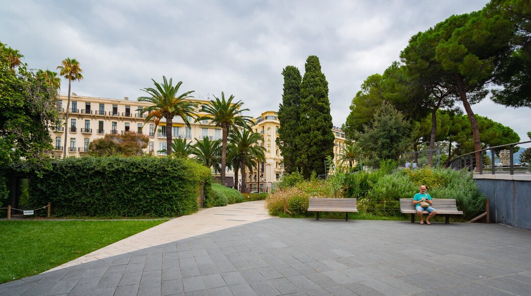 Albert 1st Gardens featuring a garden