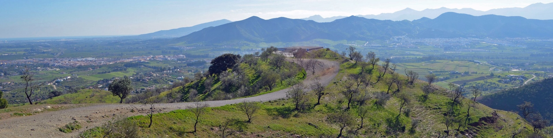 Almond Trees on Hill Andalucia Spain