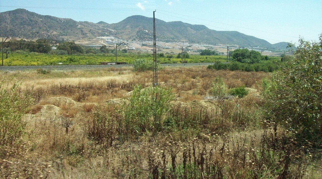 Cártama, Málaga, Spain