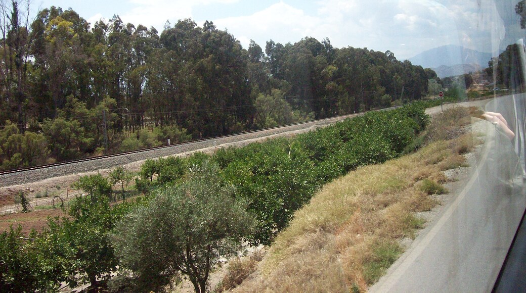 Cártama, Málaga, Spain