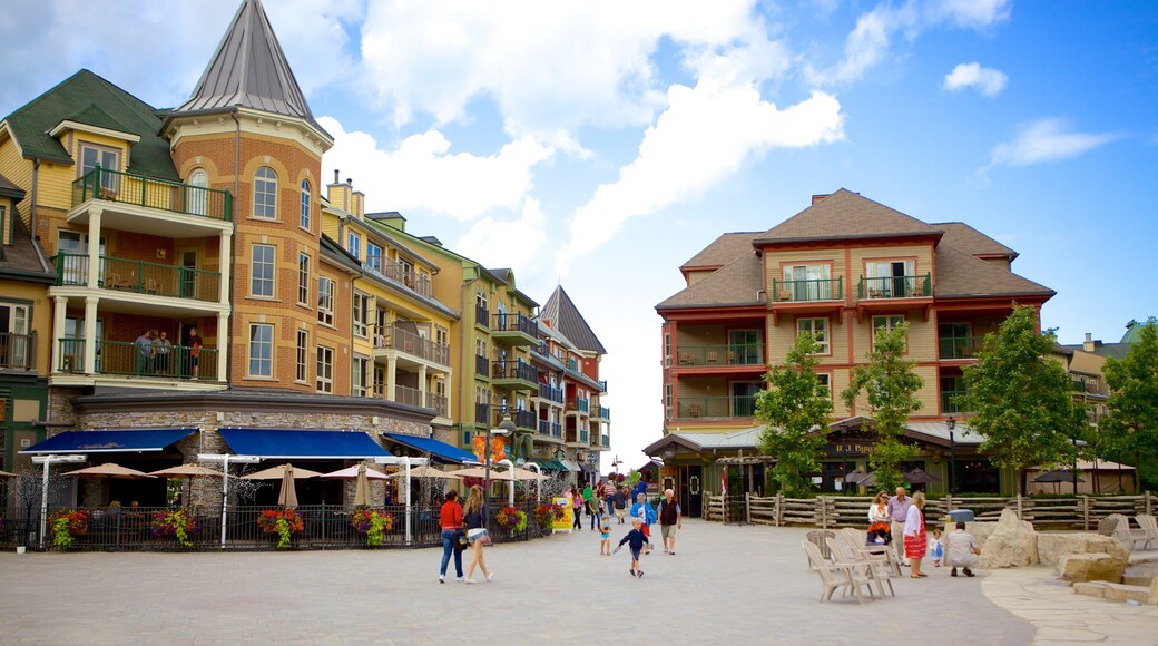 Blue Mountains que incluye una pequeña ciudad o pueblo y escenas urbanas