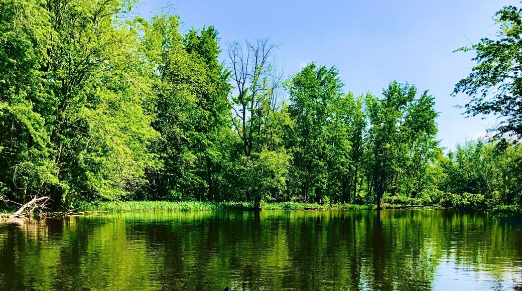 Kayaking down the Beaver River #Reflections