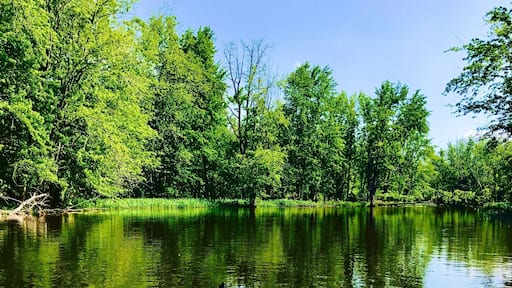 Kayaking down the Beaver River #Reflections