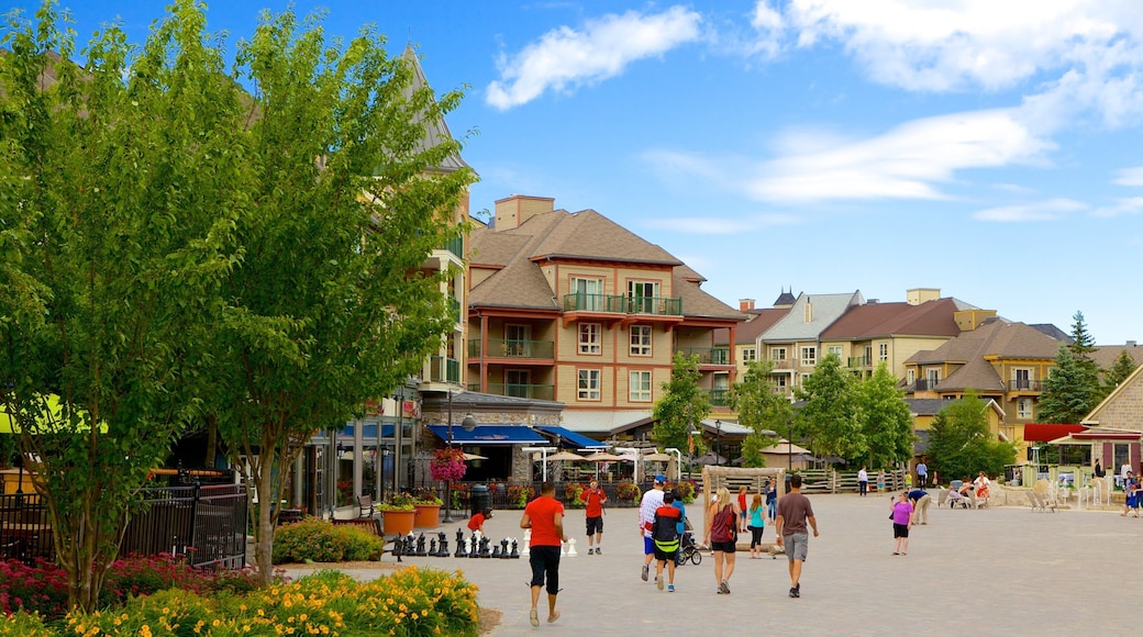 Barrie - Orillia featuring a small town or village