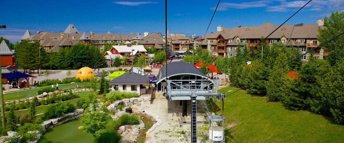 Blue Mountains showing a garden and a gondola