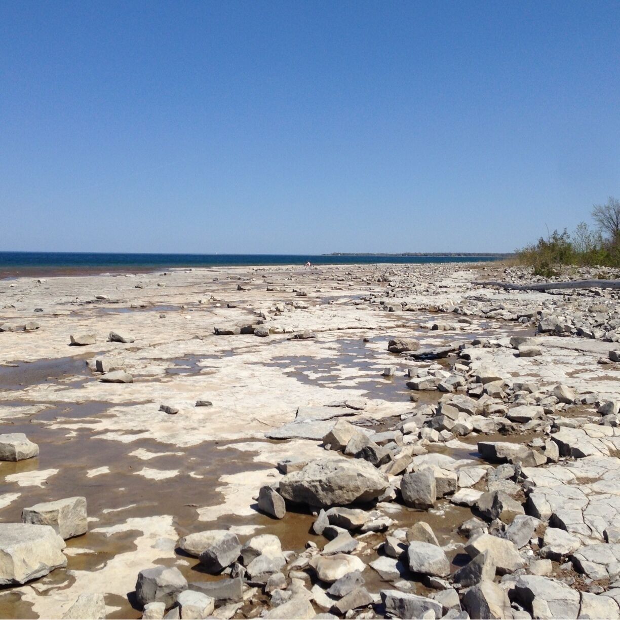 On the slate rock shores of Georgian Bay