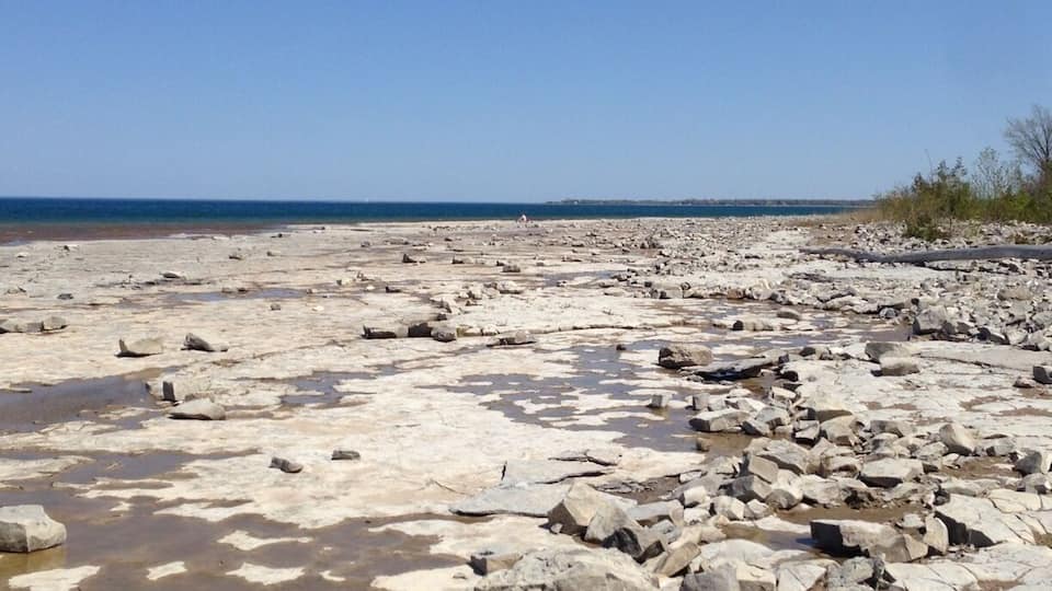 On the slate rock shores of Georgian Bay