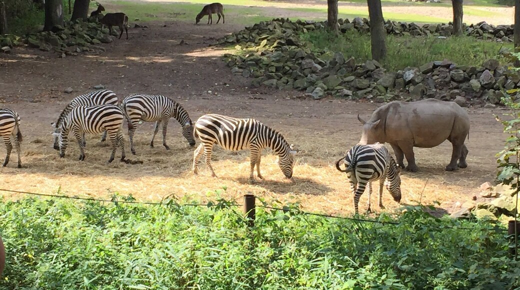 Burgers Zoo đłđ±