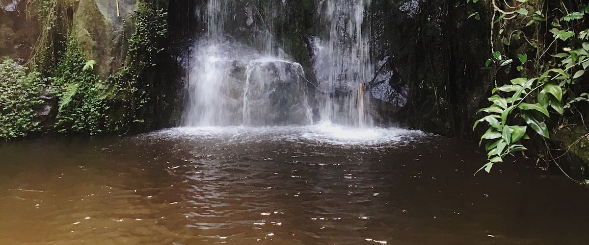 Waterfall in Burger's Zoo
#burgerszoo #zoo #waterfall #arnhem #holland #netherlands #nature