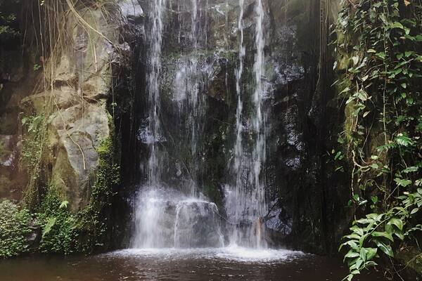 Waterfall in Burger's Zoo
#burgerszoo #zoo #waterfall #arnhem #holland #netherlands #nature