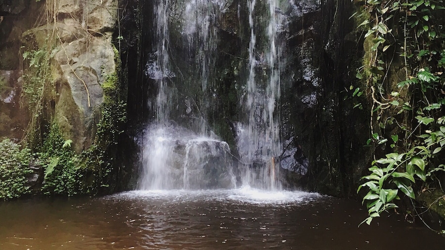 Waterfall in Burger's Zoo
#burgerszoo #zoo #waterfall #arnhem #holland #netherlands #nature