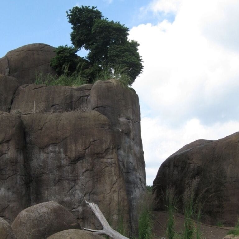 Not your average Dutch landscape (it is concrete...)