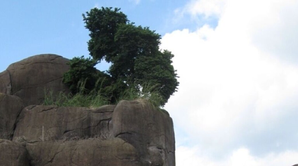 Not your average Dutch landscape (it is concrete...)
