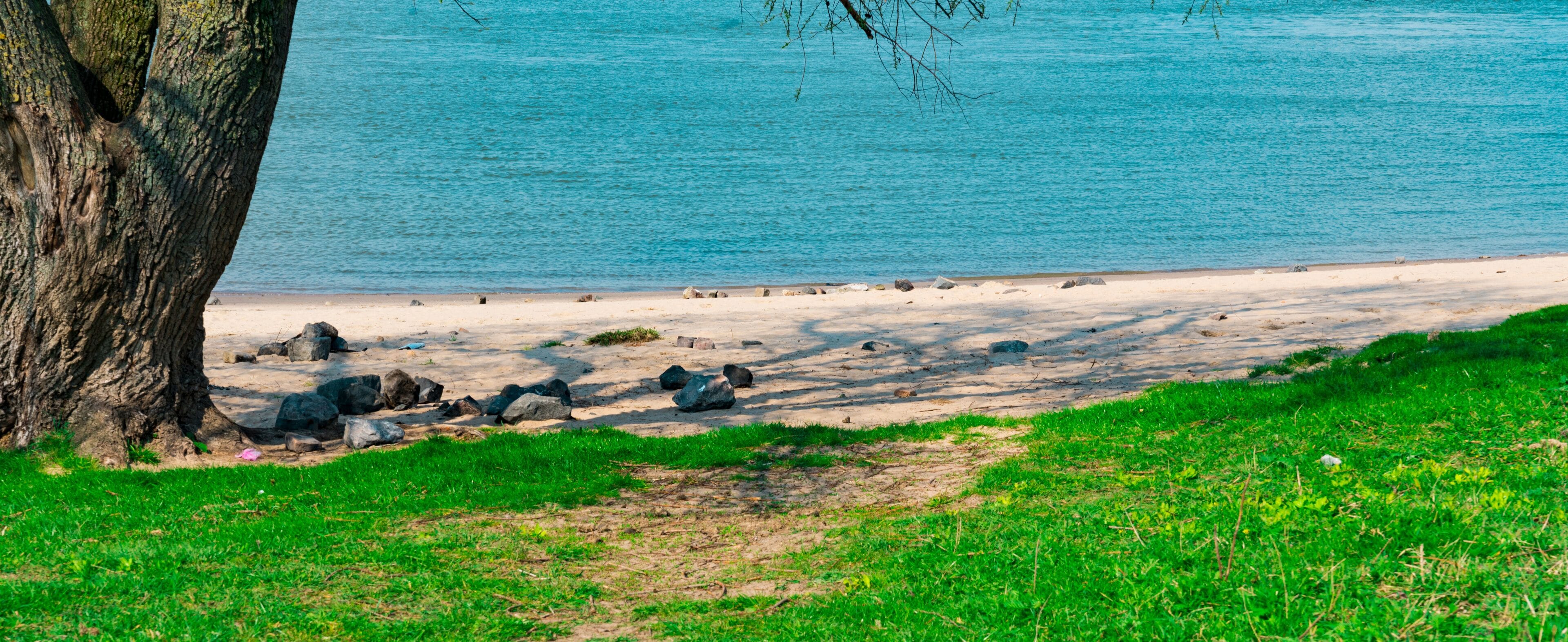 panorama, beach along river Waal in Nijmegen,  in nature park Gelderse Poort Stadswaard, The Netherlands
