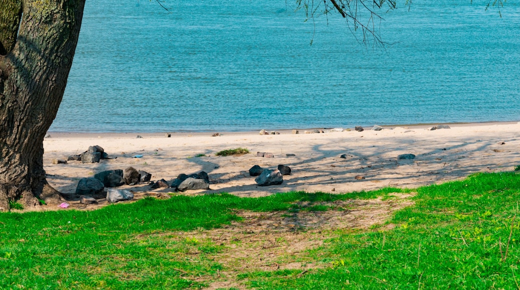 panorama, beach along river Waal in Nijmegen, in nature park Gelderse Poort Stadswaard, The Netherlands