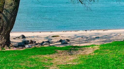 panorama, beach along river Waal in Nijmegen, in nature park Gelderse Poort Stadswaard, The Netherlands