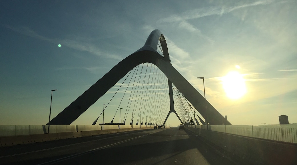 A beautiful bridge at Nijmegen - de Oversteek 🇳🇱