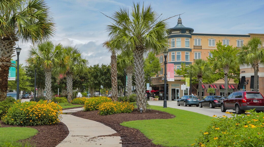 The Market Common showing a garden and flowers