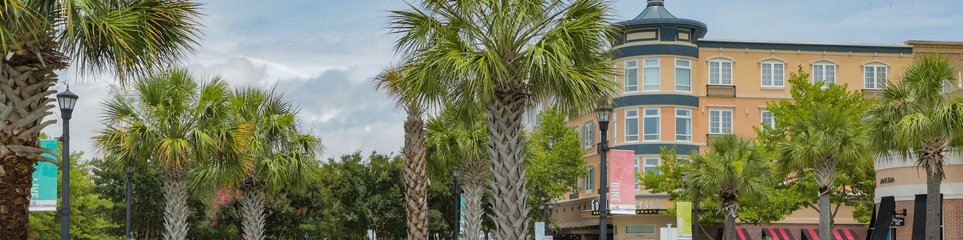 The Market Common showing a garden and flowers
