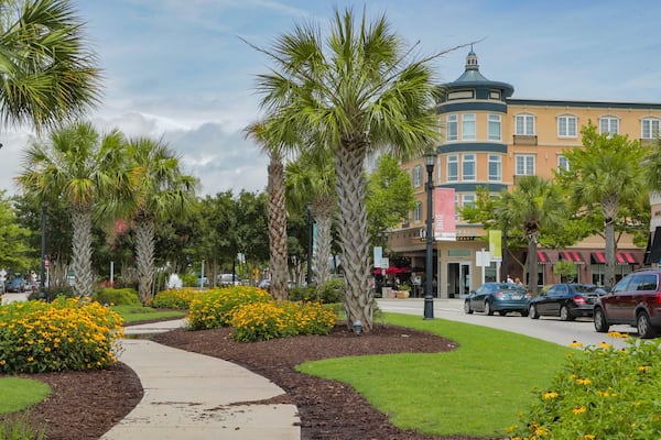 The Market Common showing a garden and flowers