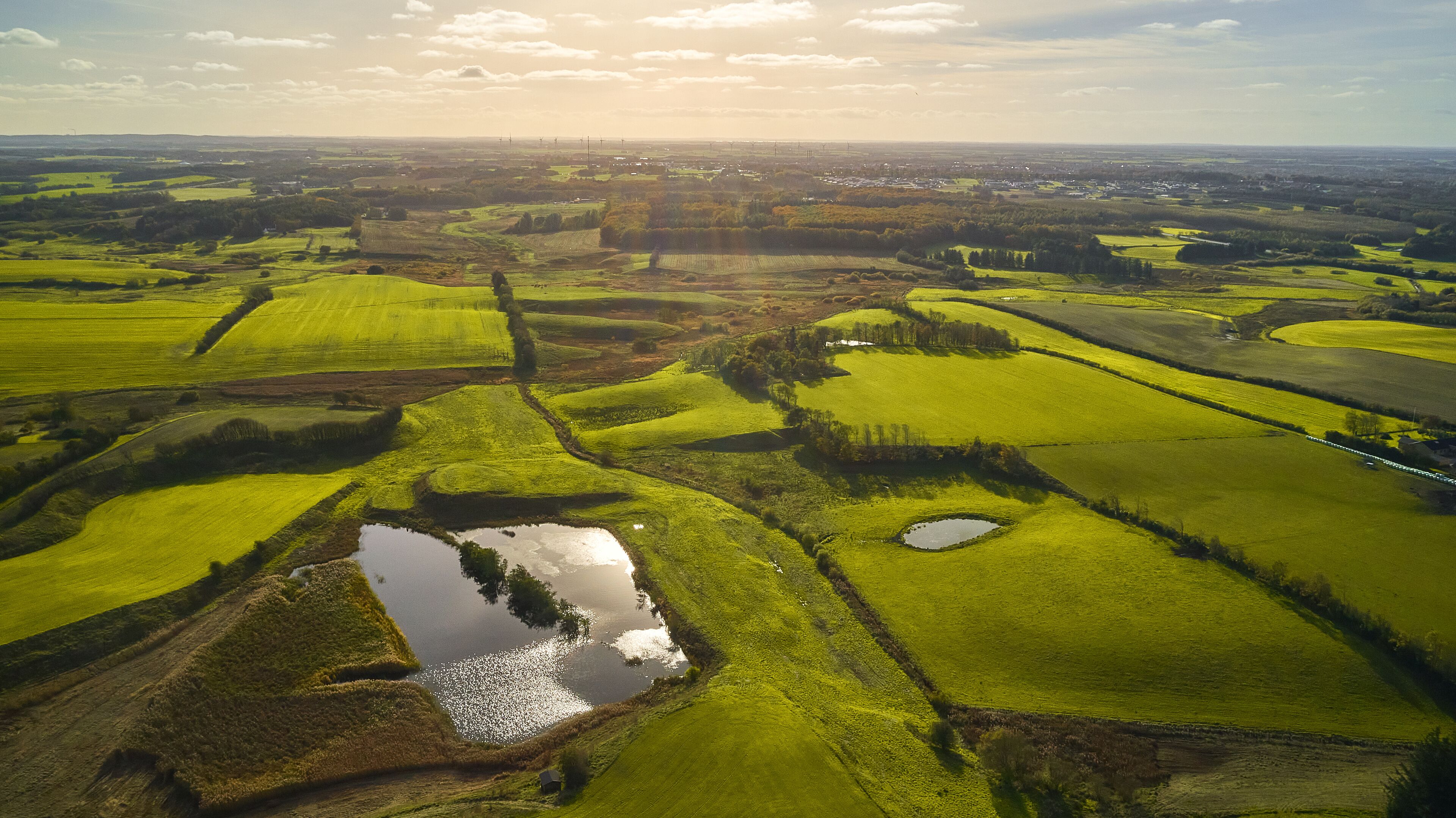 green field in denmark