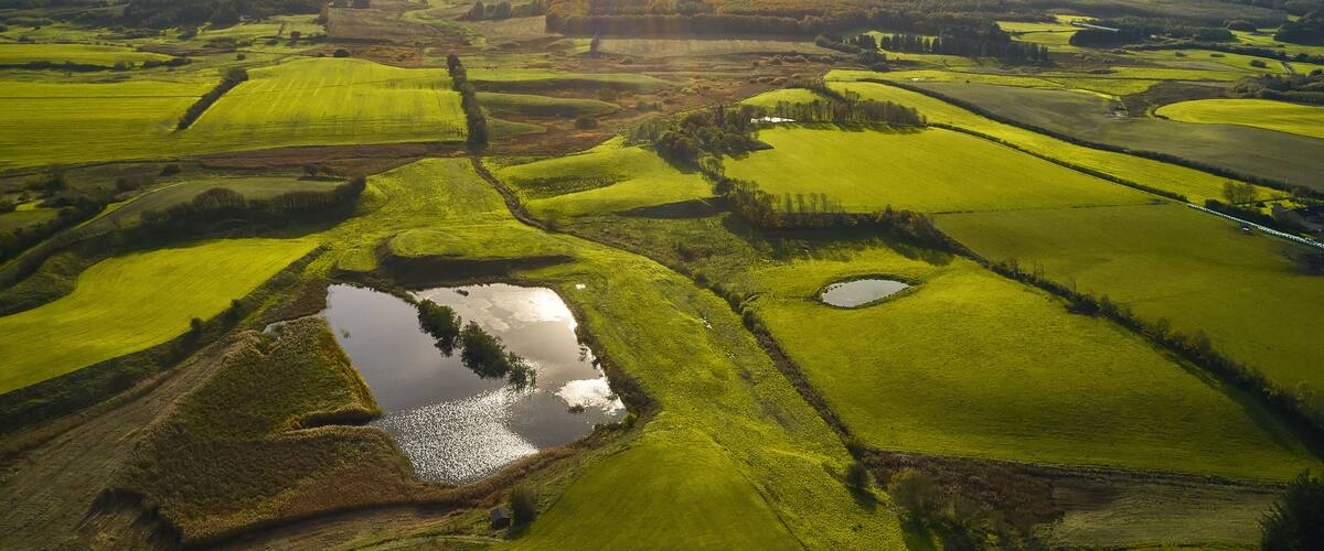 A rural landscape with rolling green fields, a small pond, and distant wind turbines.