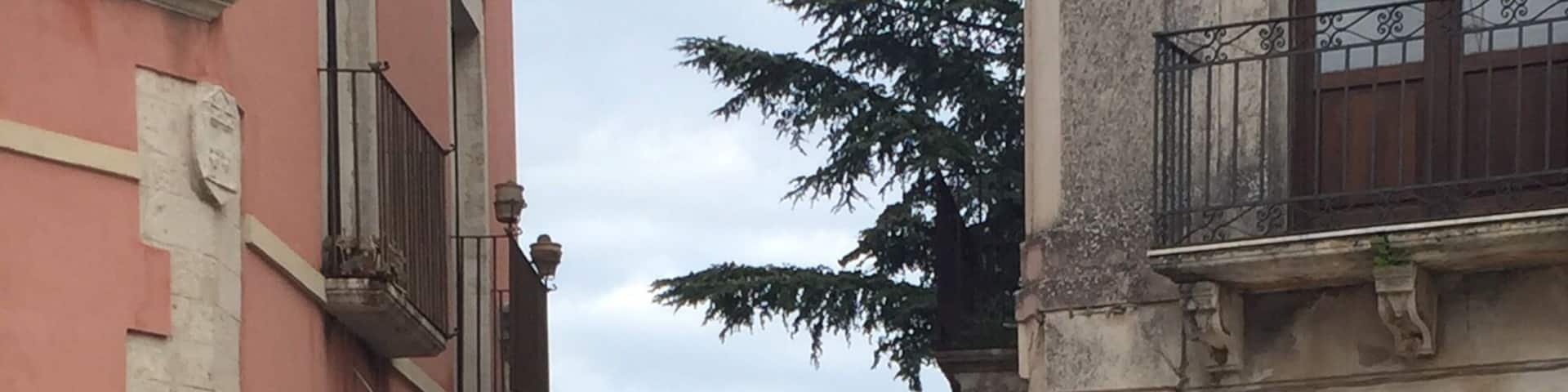 A little town perched up in the Calabrian mountains. So quiet and peaceful.