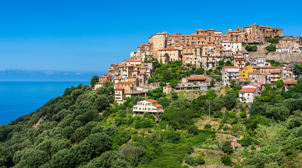 Pisciotta