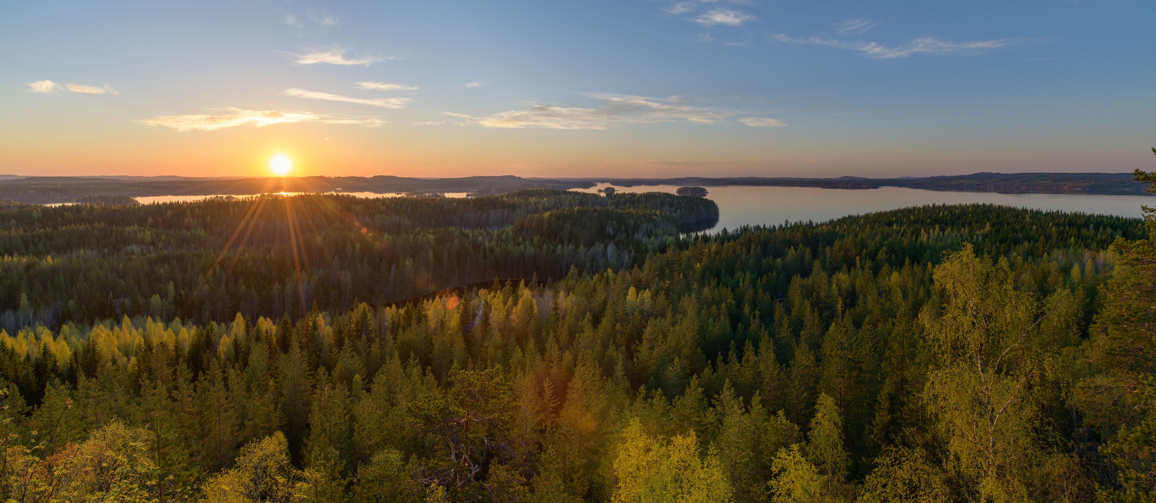 A forested landscape with a lake and a sunset.