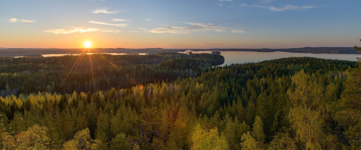 A forested landscape with a lake and a sunset.