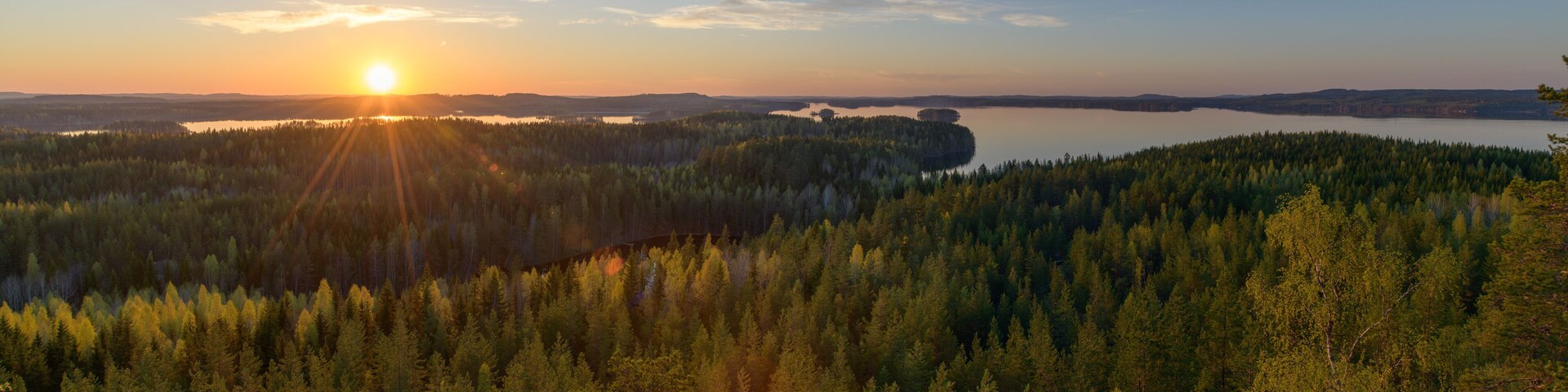 A forested landscape with a lake and a sunset.
