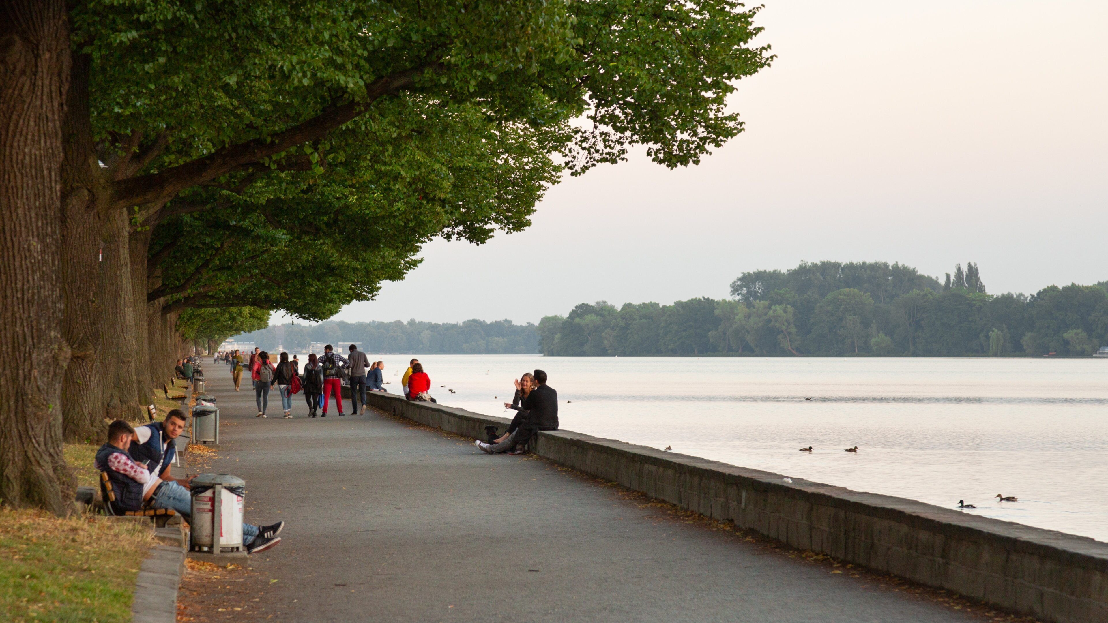 Maschsee which includes a garden and a river or creek