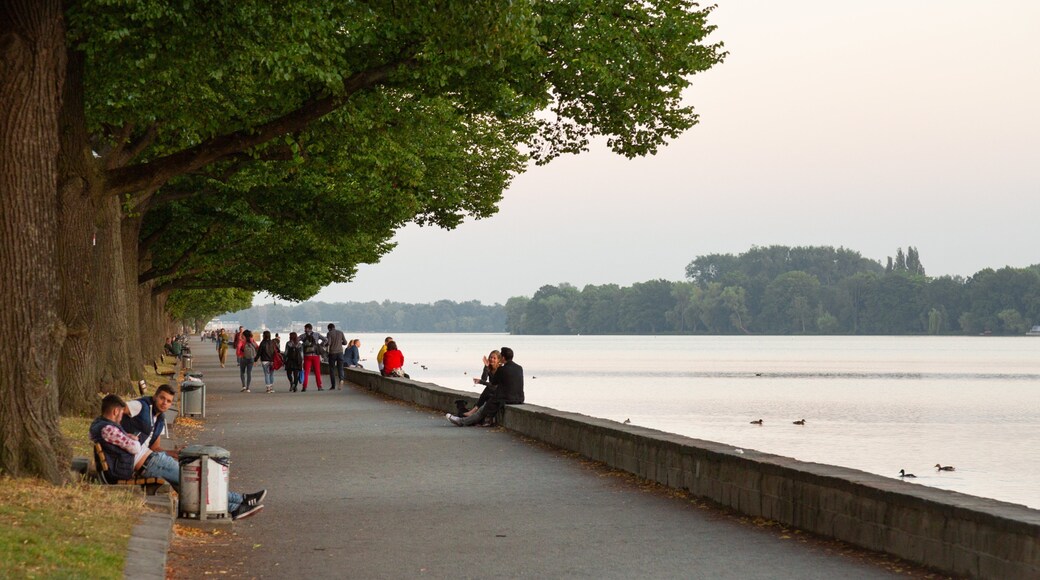 Maschsee which includes a garden and a river or creek