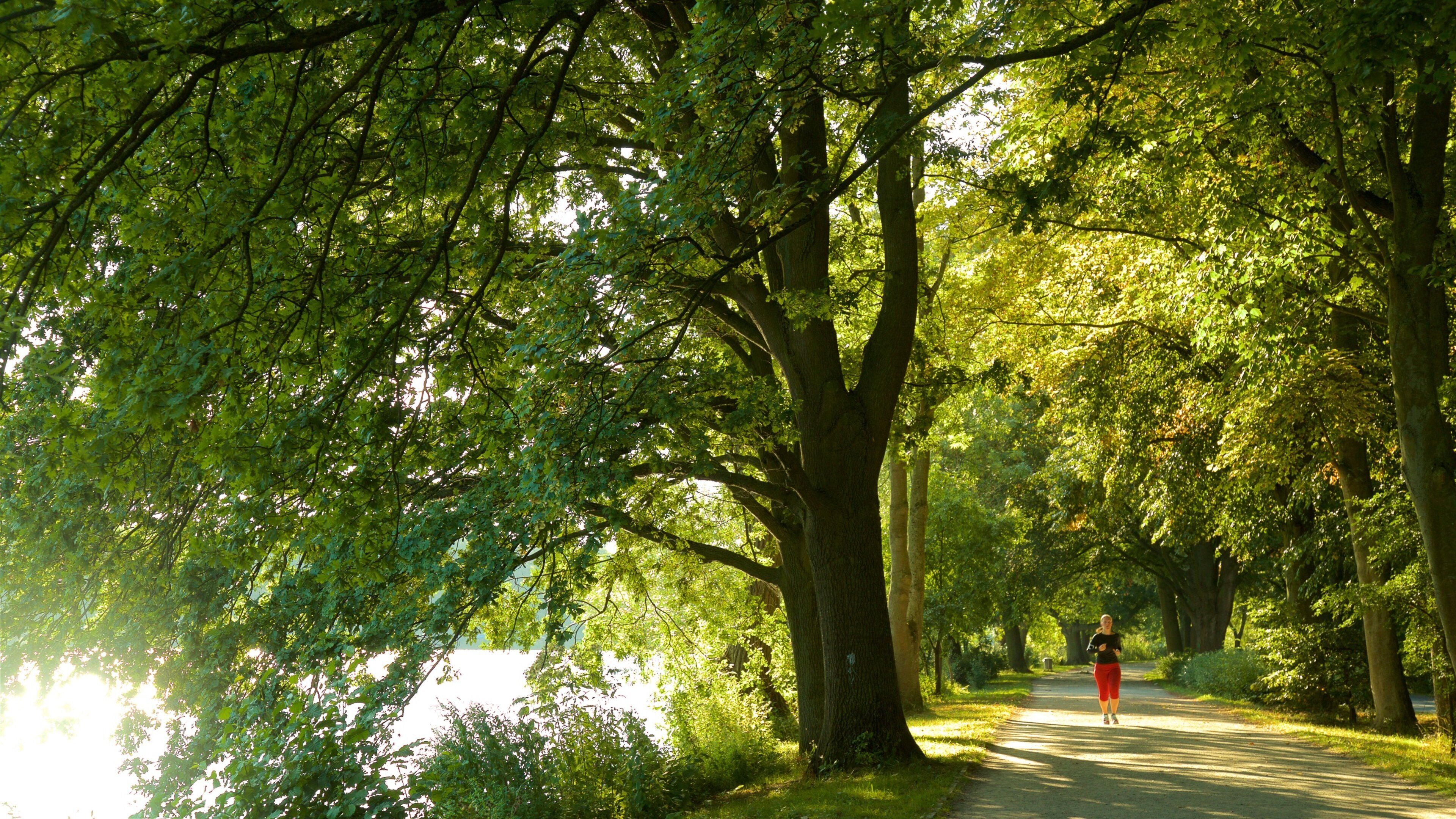 Maschsee das einen Wandern oder Spazieren und Garten sowie einzelne Frau